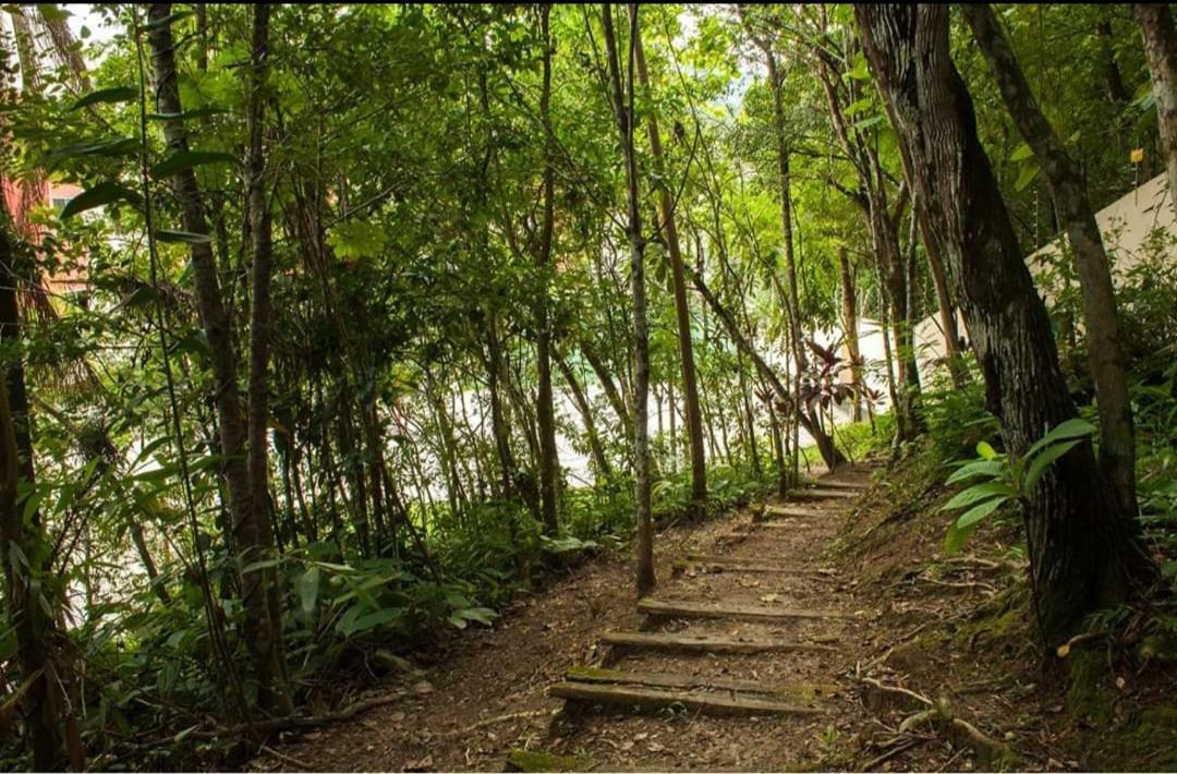 Balneário CamboriúApe Da Gabiアパートメント エクステリア 写真